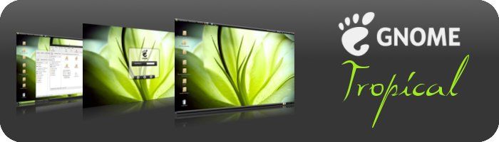 header-tropical header-tropical