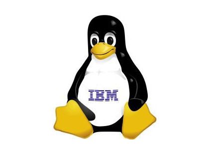 Ubuntu IBM ICSW 0