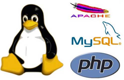 Máster profesional en programación web con MySQL y PHP