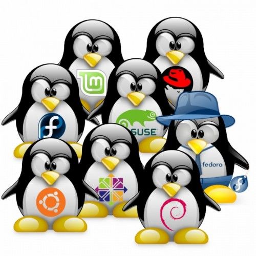 Tux-Linux-Distros-800x800