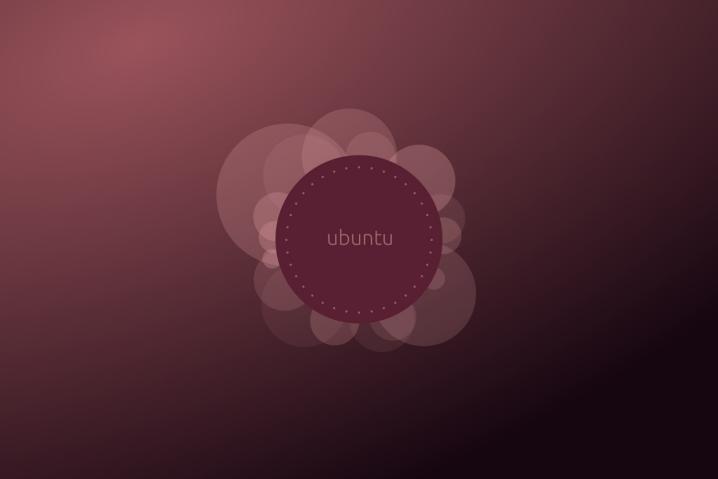 Ubuntu Dual Boot