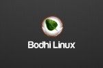 bodhi linux 3.0