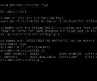 Configuración de Apache 2 en Debian 8 Jessie