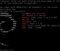 Debian 8 Jessie recién arrancado como servidor