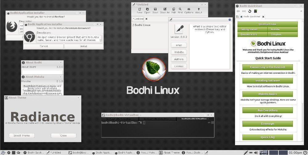 bodhi linux 3.1.0
