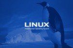 Iníciate en tecnologías Linux con estos cursos gratuitos de edX