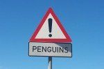penguins