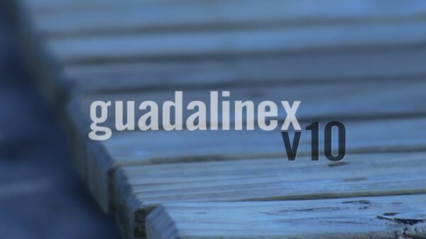 guadalinex