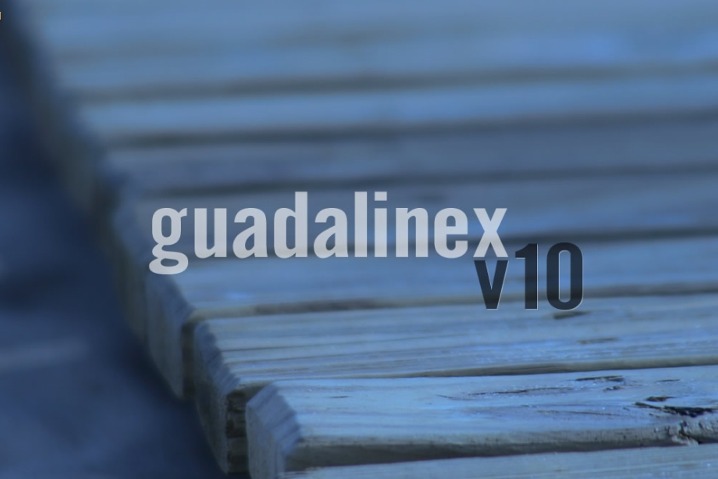 guadalinex