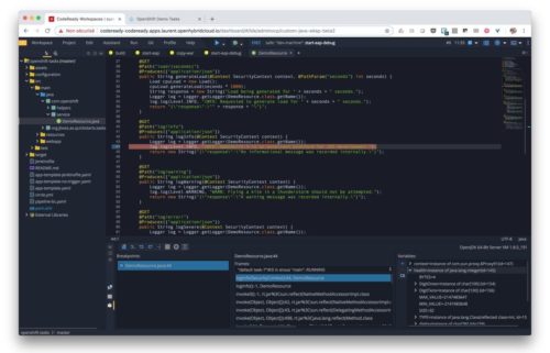 Red Hat CodeReady, un IDE nativo para Kubernetes - MuyLinux