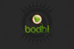 Bodhi Linux