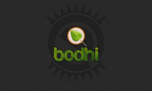 Bodhi Linux 5.1 pule la interfaz gráfica y ofrece más medios de ...