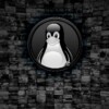 juegos gratos Linux Steam