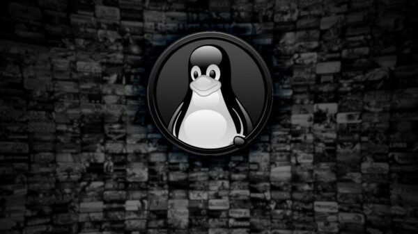 juegos gratos Linux Steam