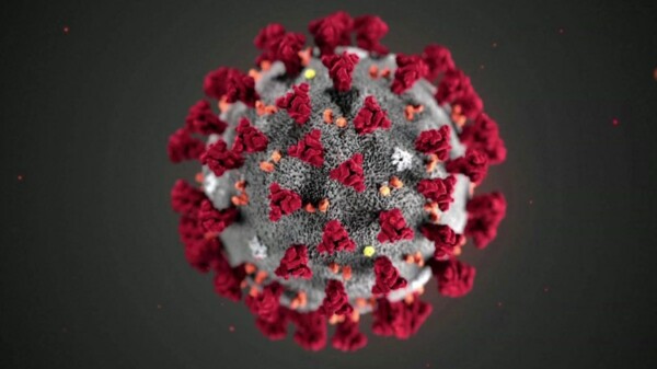 coronavirus