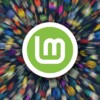 Linux Mint webapps