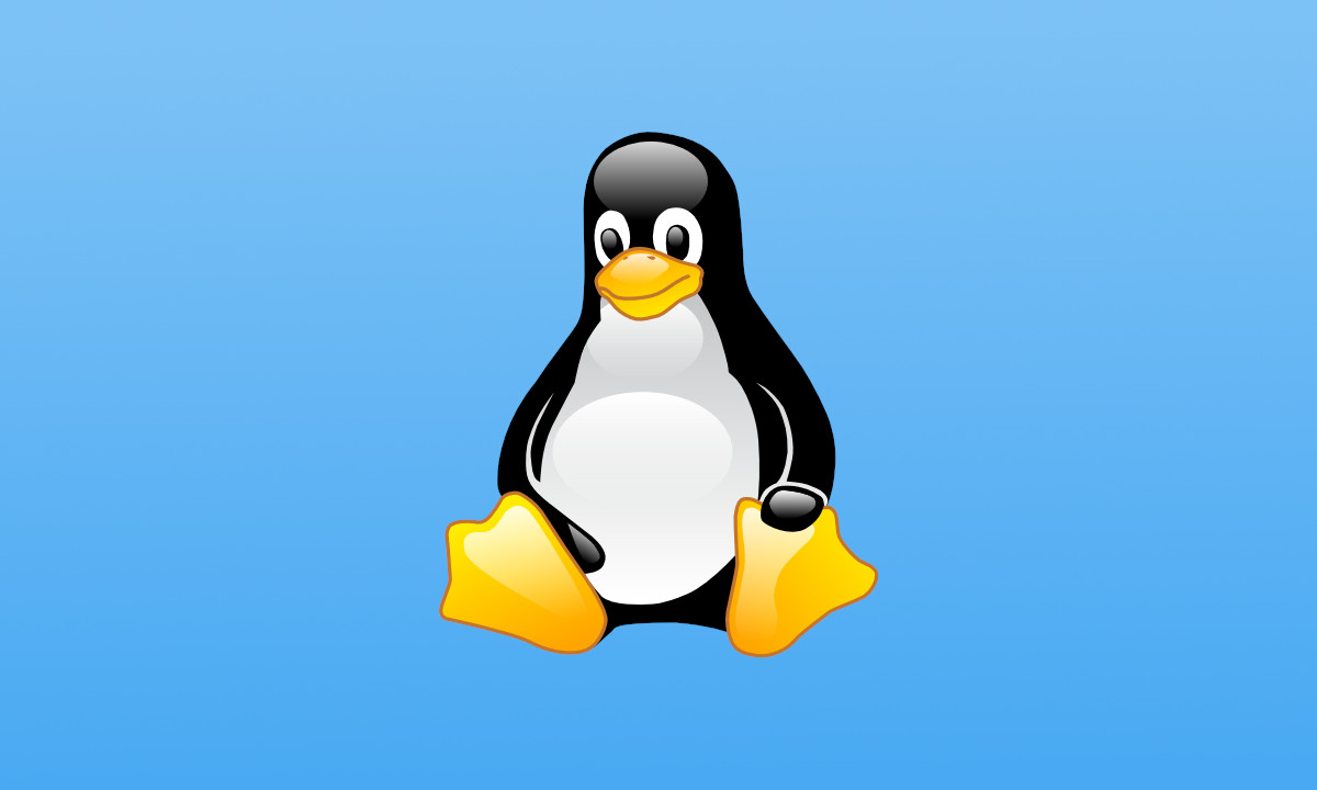 Linux 5.10 solo tendrá dos años de soporte si no hay implicación  empresarial » MuyLinux