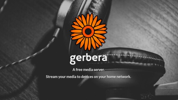 Gerbera