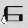 Linux 6