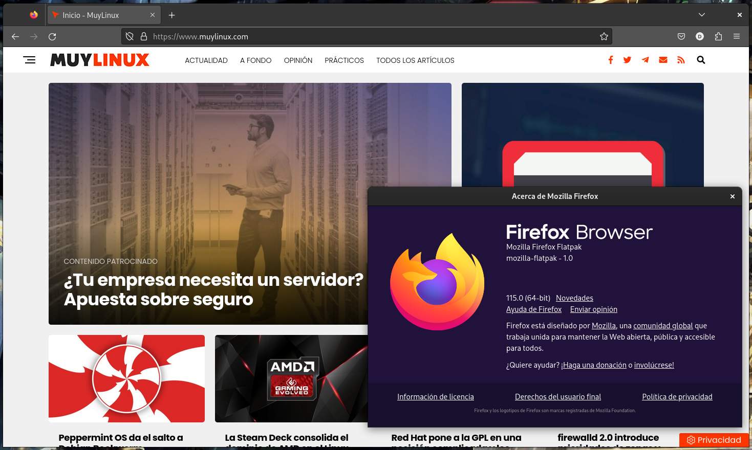 Mozilla Firefox 115
