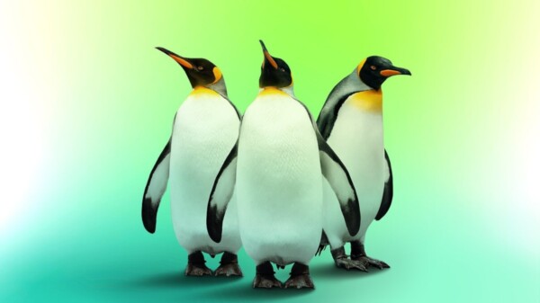 Kaspersky Virus Removal Tool