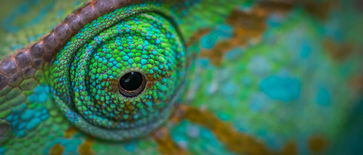 openSUSE: diferentes tonos de verde... y un poco de cr&iacute;tica a la autocr&iacute;tica