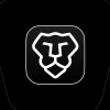 Brave Origin