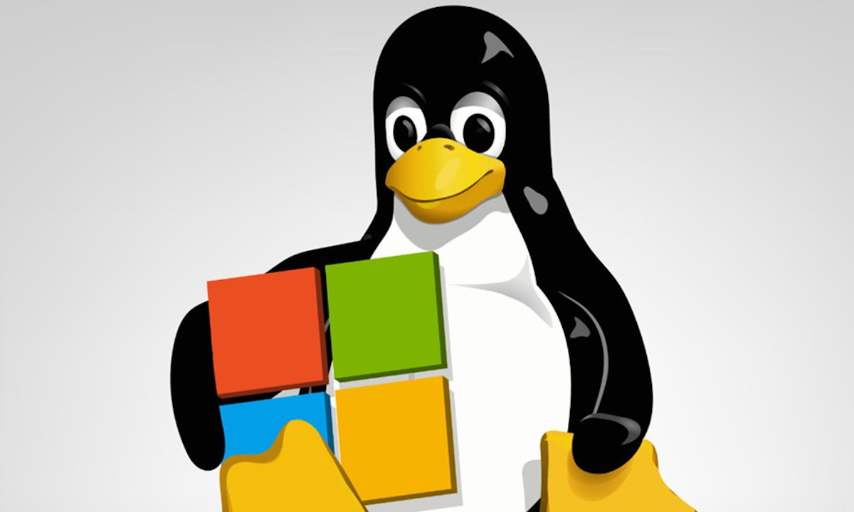 Ubuntu en WSL