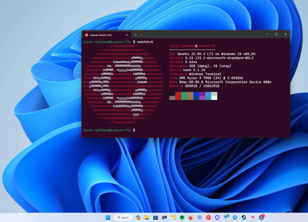 Ubuntu en WSL