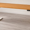 FlexiSpot ValtreX E200