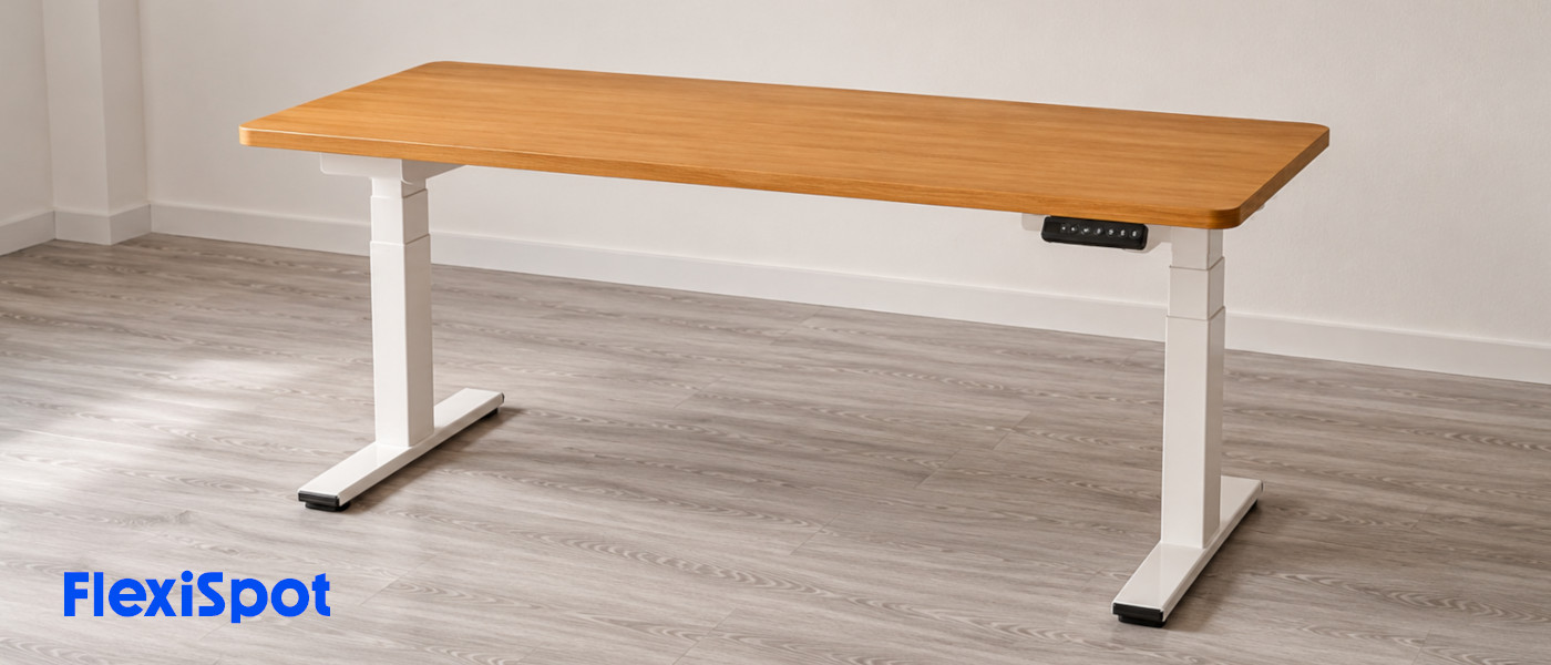 FlexiSpot ValtreX E200